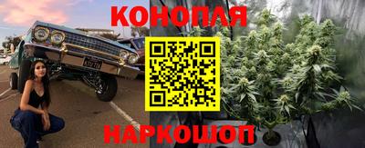 ГАЛЛЮЦИНОГЕННЫЕ ГРИБЫ Камышлов