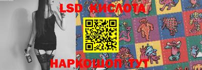 ГАЛЛЮЦИНОГЕННЫЕ ГРИБЫ Камышлов