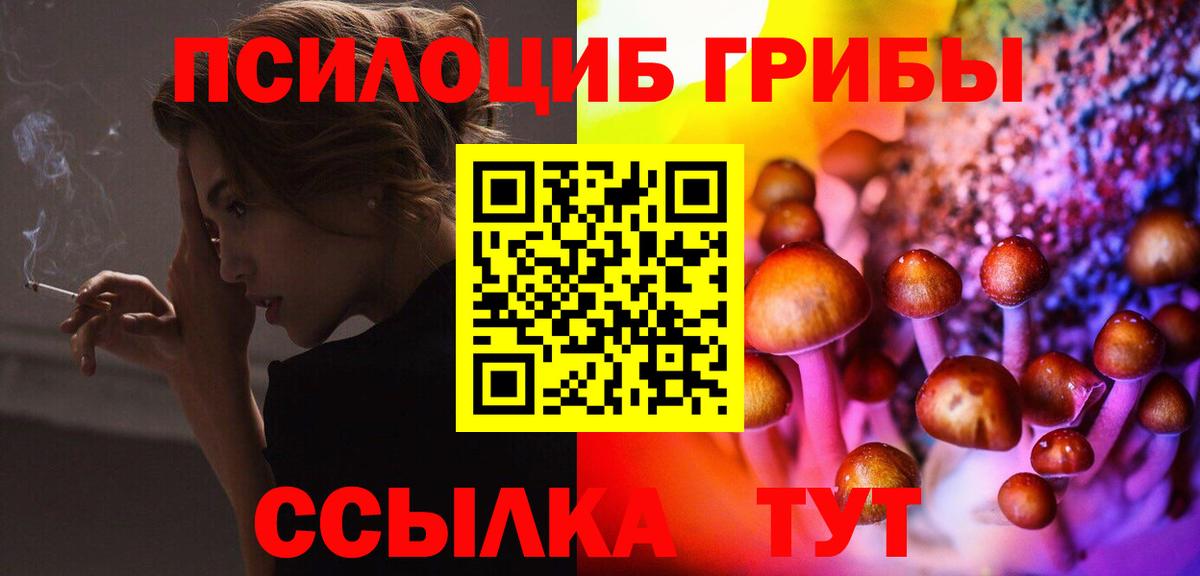даркнет сайт  Галлюциногенные грибы мицелий  Вход с VPN  Псилоцибиновые грибы Magic Shrooms  Кувандык 