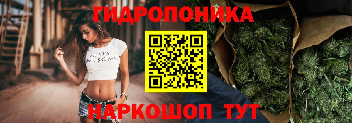Бошки Шишки OG Kush  Бошки марихуана OG Kush  Кувандык  Вход с VPN 